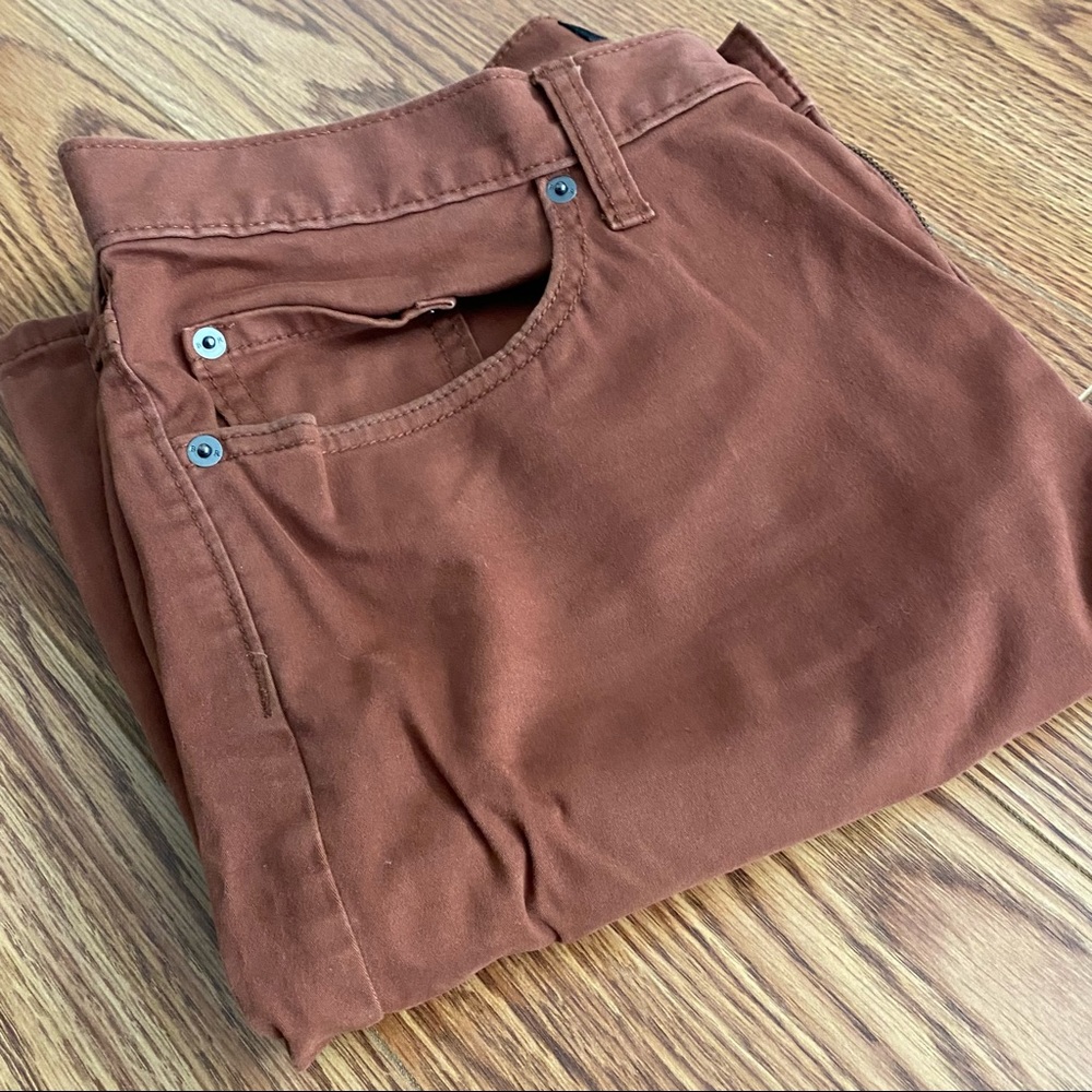 Men’s Banana Republic Chinos- Rust 32/30